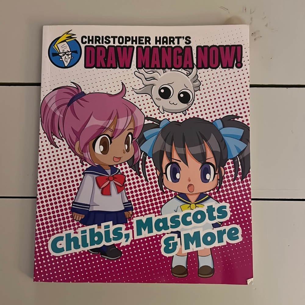Bundle of drawing books!